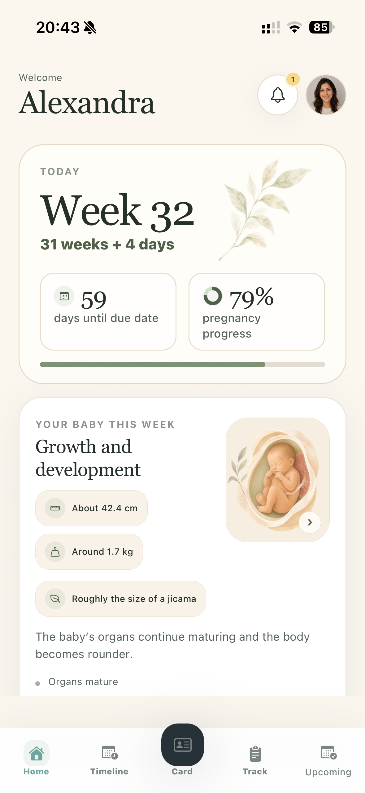Home pregnancy overview